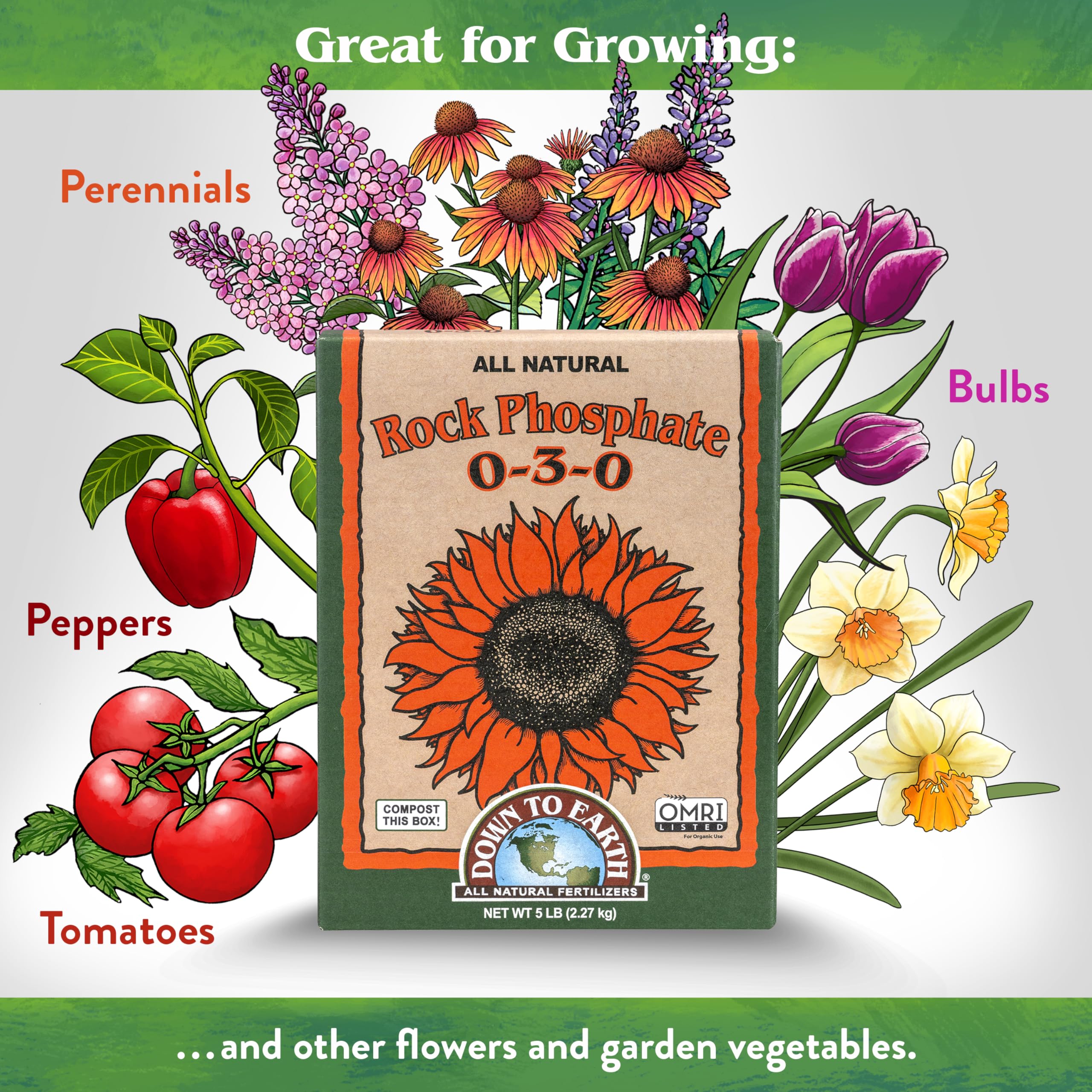 Down To Earth Rock Phosphate spread on soil enhances phosphorus availability for flowering and fruiting.