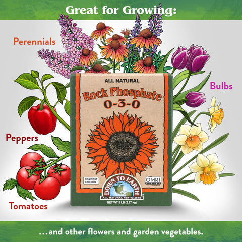 Down To Earth Rock Phosphate spread on soil enhances phosphorus availability for flowering and fruiting.