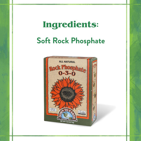 Down To Earth Rock Phosphate application in tomato beds may support robust blossoms and yields.