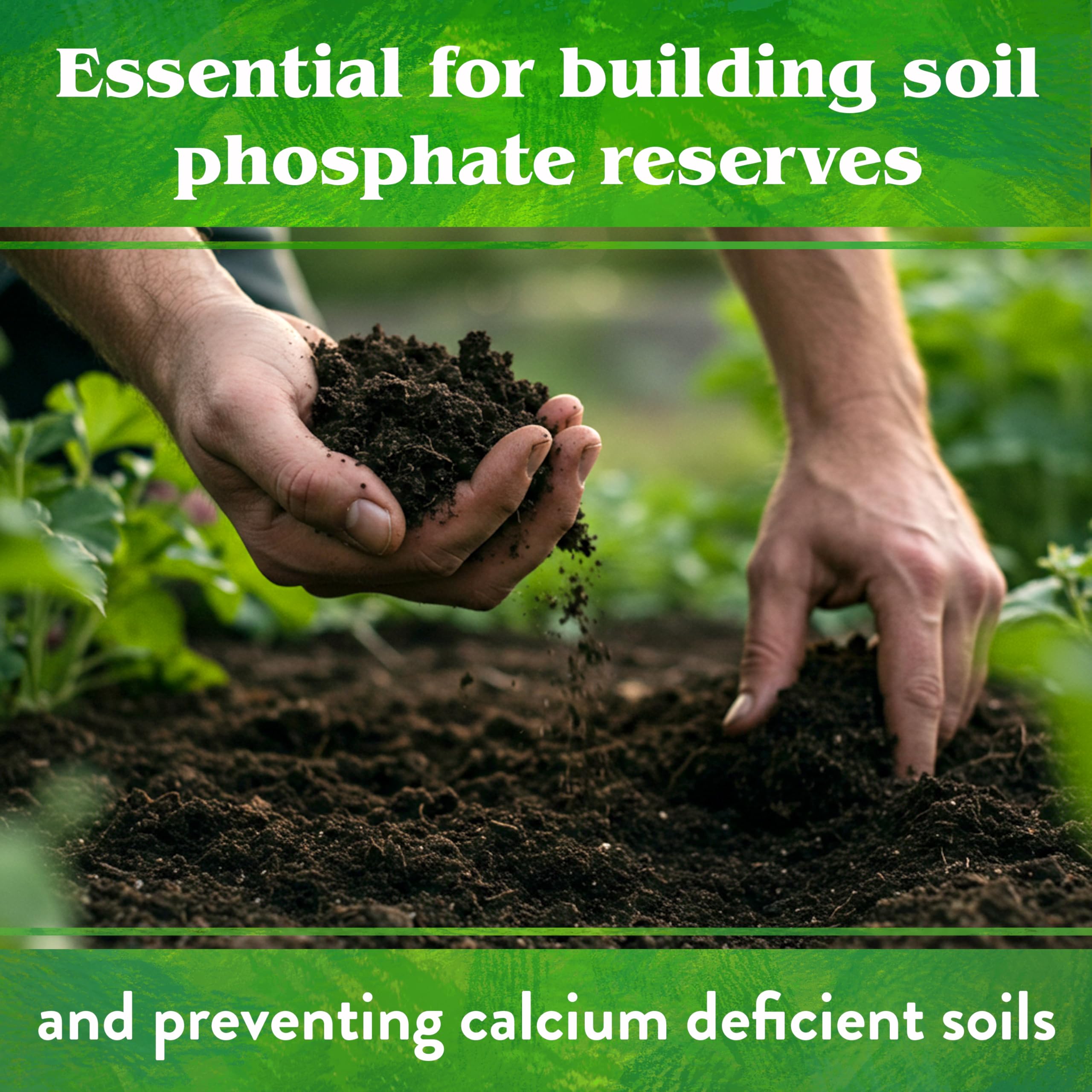 Down To Earth Rock Phosphate supports vegetable garden growth with steady phosphorus release.