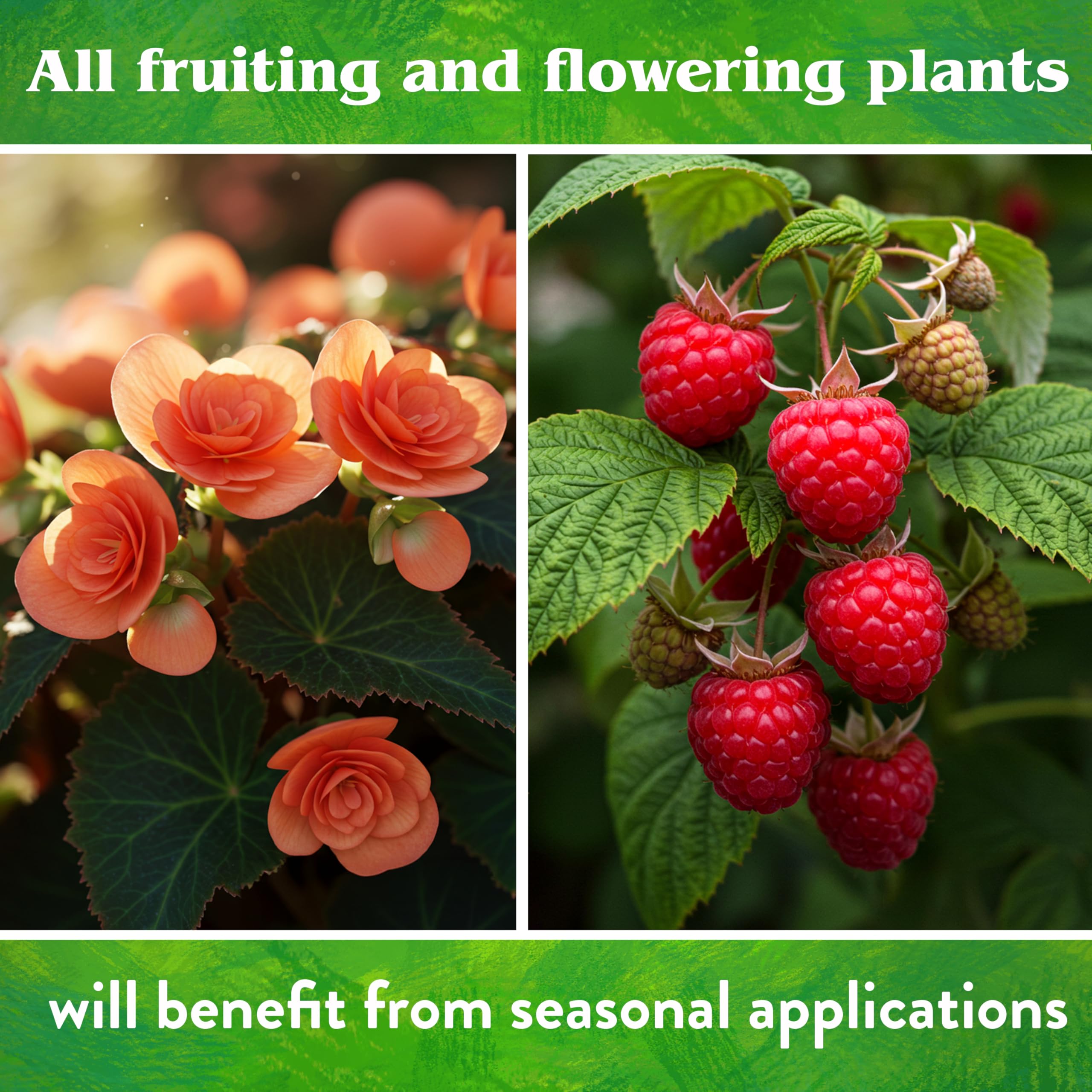 Down To Earth Seabird Guano promotes blossoms and fruit quality.