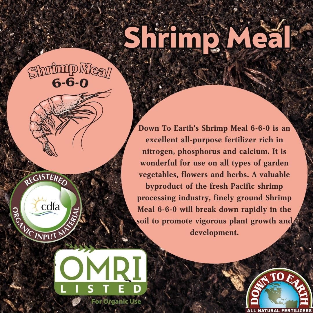 Down To Earth shrimp meal applied to soil in garden bed.