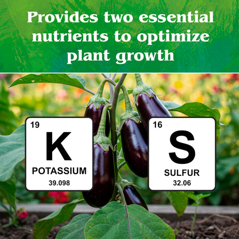 Down To Earth solution-grade potassium sulfate ready for foliar application.