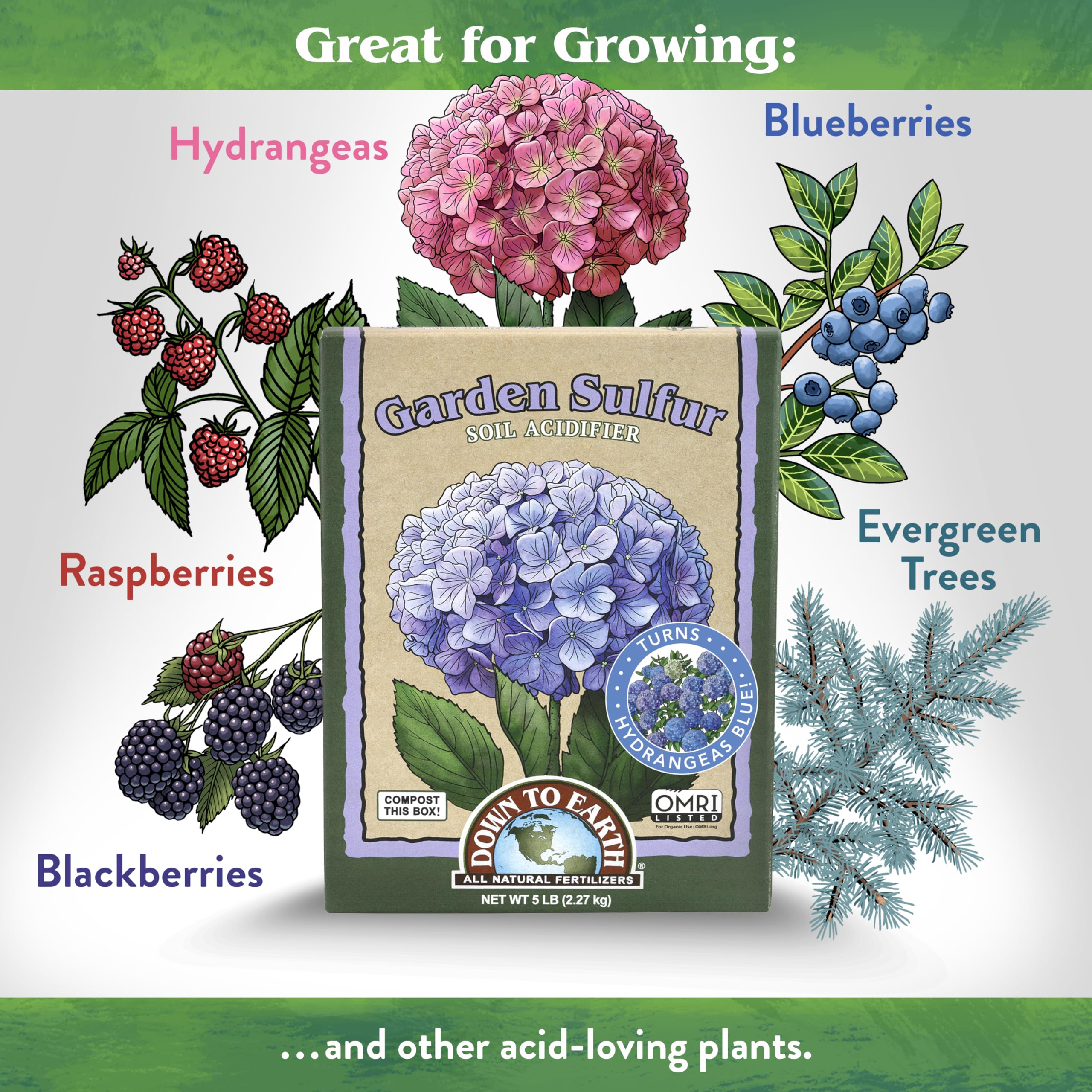 Granules of Down To Earth sulfur acidifier for soil pH modification