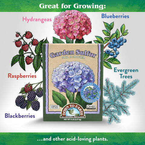 Granules of Down To Earth sulfur acidifier for soil pH modification