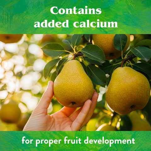 Down To Earth tropical fruit trees being fed for vibrant crops
