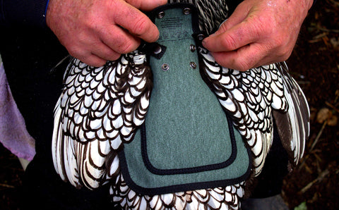 DOWN UNDER OUTDOORS breathable canvas keeps birds comfortable during wear.