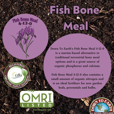Down To Earth fish bone meal soil application demonstrates root growth support