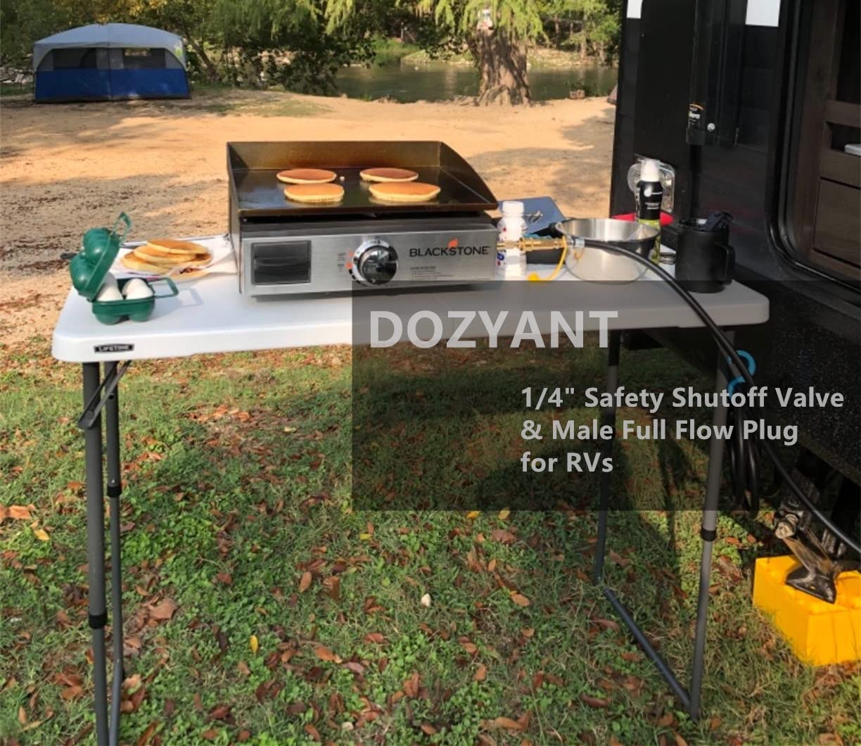 DOZYANT safety shutoff valve detail emphasizes secure propane flow.