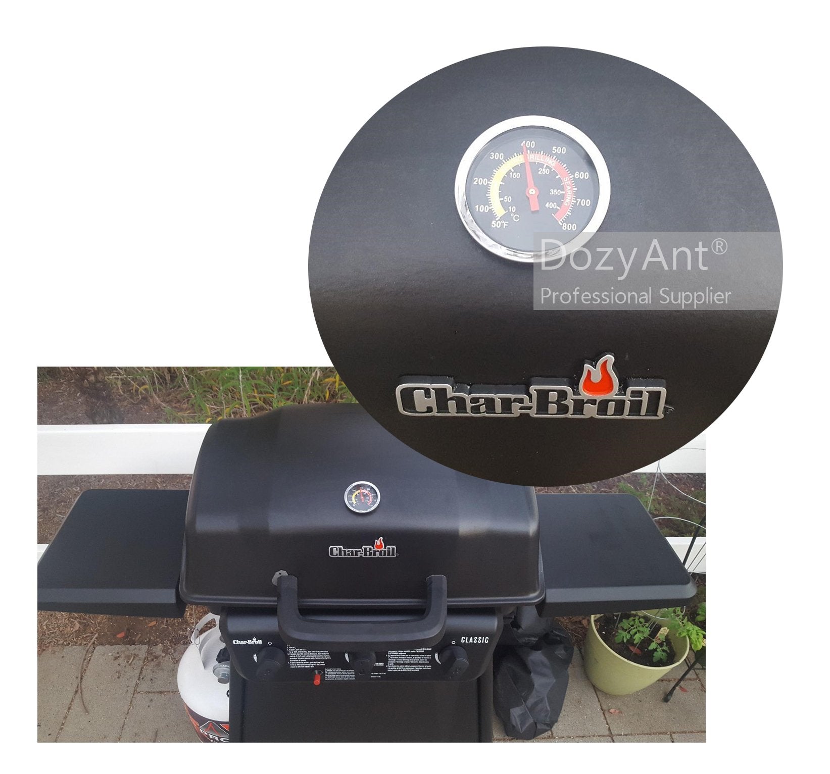 DOZYANT 50F-800F range covers low-and-sear cooking across meats.
