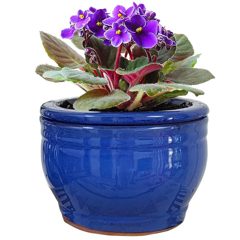 Dphagesy African Violet pot with self-watering round ceramic blue finish, front view, for steady moisture.