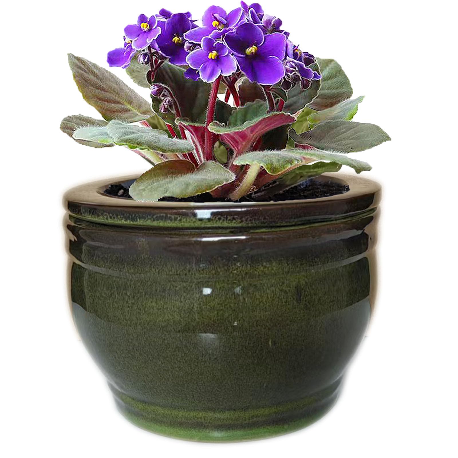 Dphagesy African Violet pot in olive drab with self-watering design on a table.