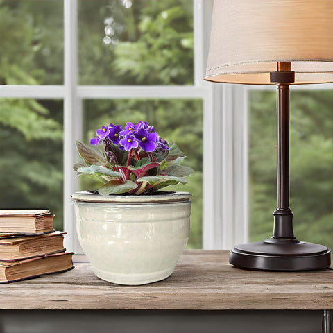 Dphagesy gift-ready violet pot in white ceramic packaging