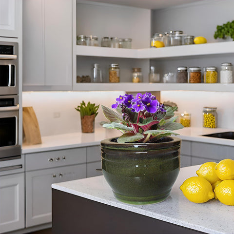 Dphagesy outer pot is easy to clean, bi-monthly maintenance.