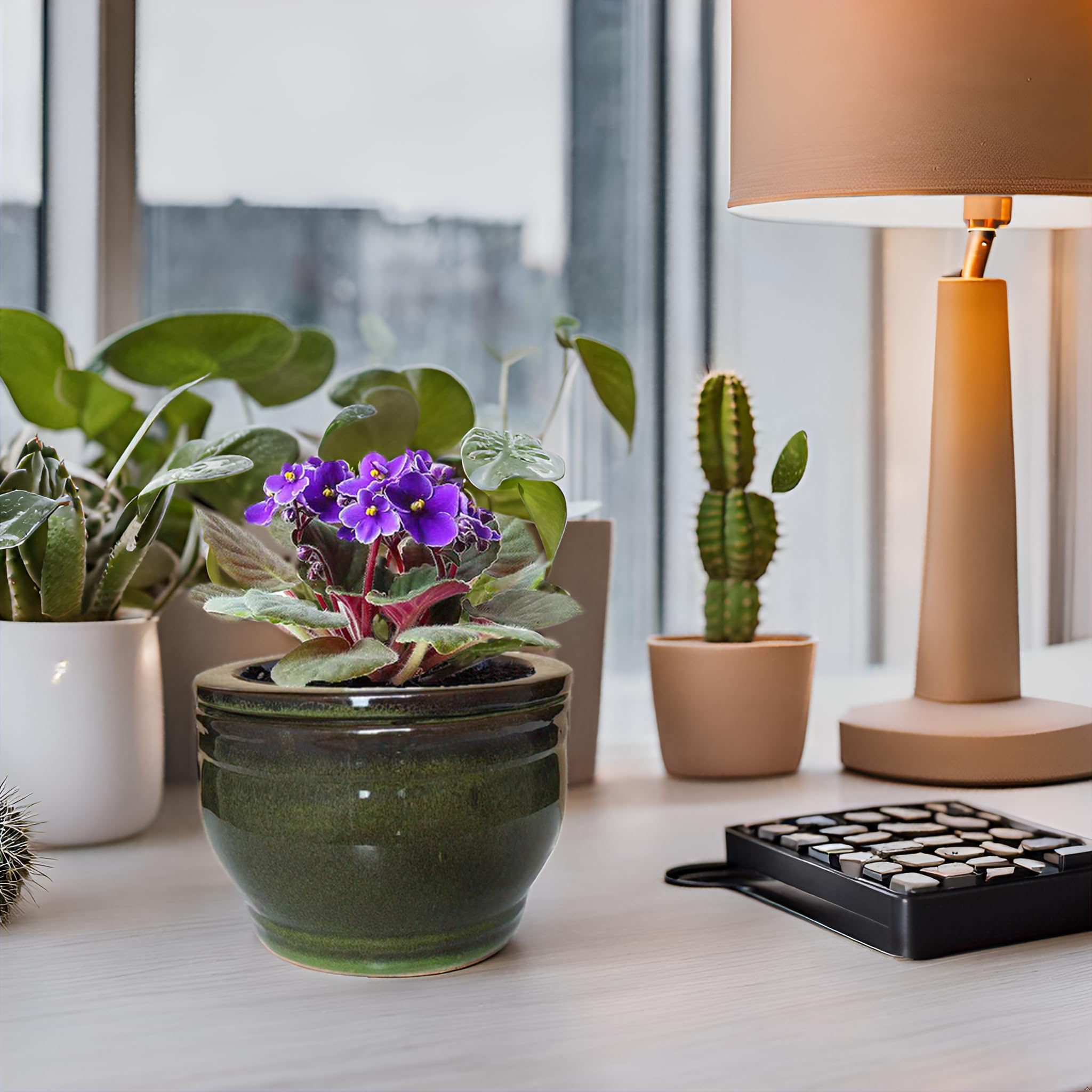 Dphagesy olive-drab ceramic color adds timeless plant decor appeal.
