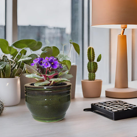 Dphagesy olive-drab ceramic color adds timeless plant decor appeal.