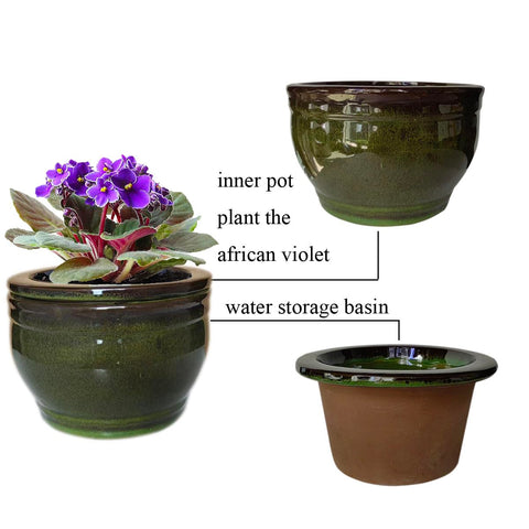 Dphagesy outer pot stores water for steady violet moisture.