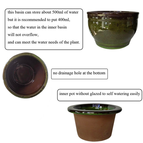 Dphagesy pot-in-pot design balances air and moisture for violets.