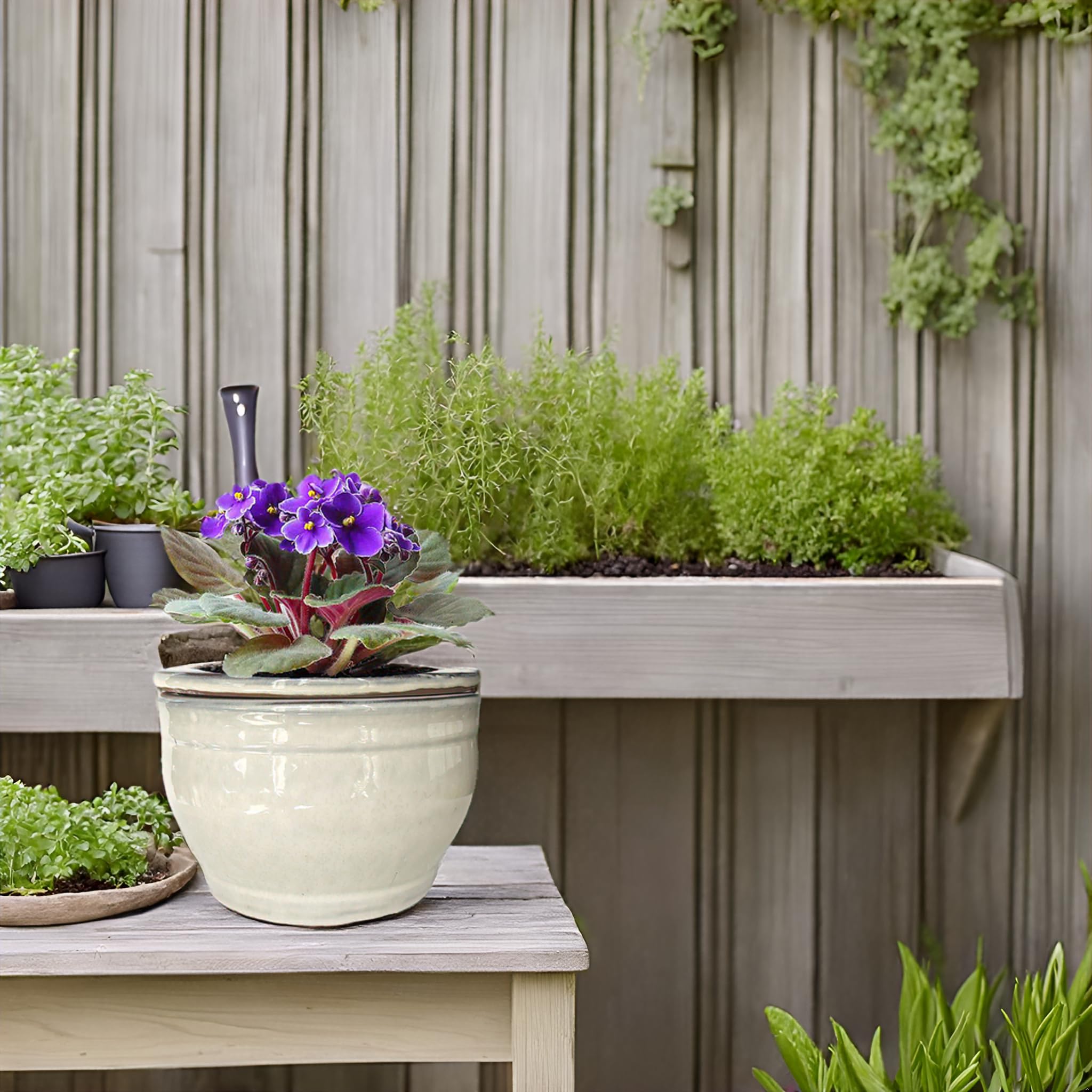 Dphagesy white ceramic violet pot on a table display