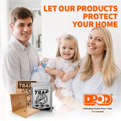 DPOD glue mouse traps indoor pack6 eco-friendly design reduces waste and clutter.