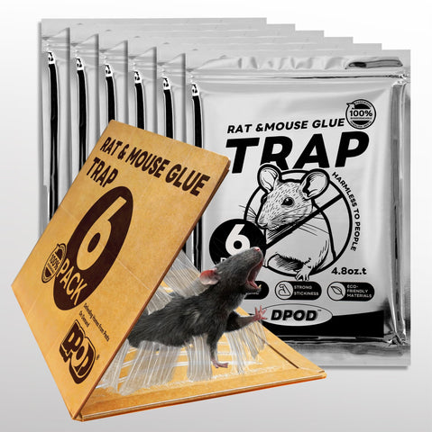 DPOD glue mouse traps indoor pack6 front view with pre-baited traps for quick, non-toxic pest capture.