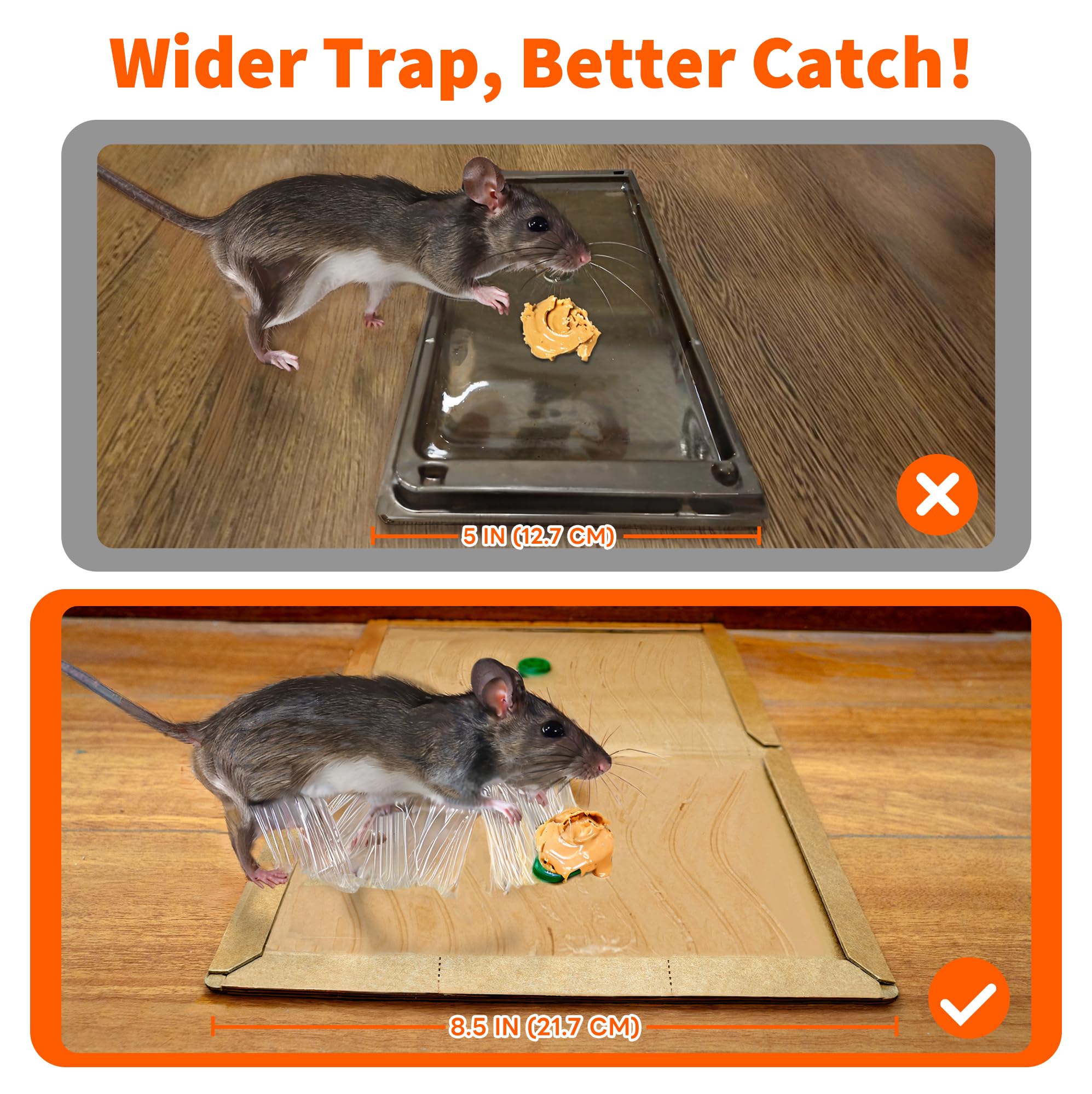 DPOD glue mouse traps indoor pack6 in-use placed in high-traffic areas for better coverage.