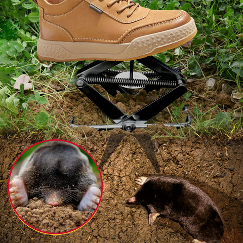DPOD Mole Traps quick-setup in action for fast outdoor pest control.