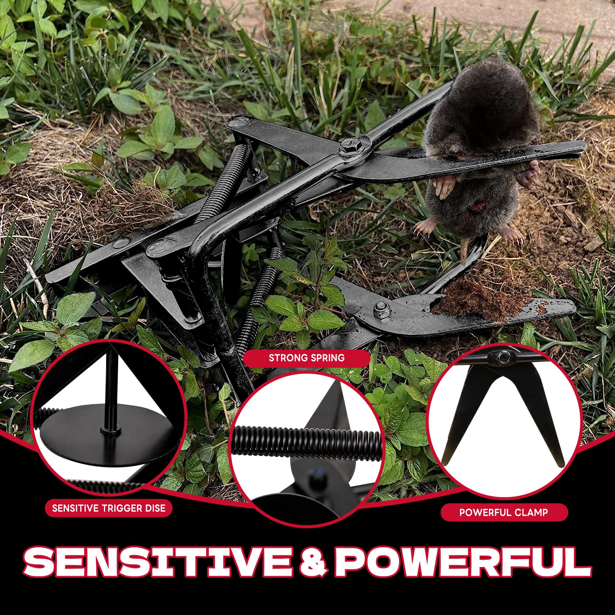DPOD Mole Traps weather-resistant body for year-round outdoor use.