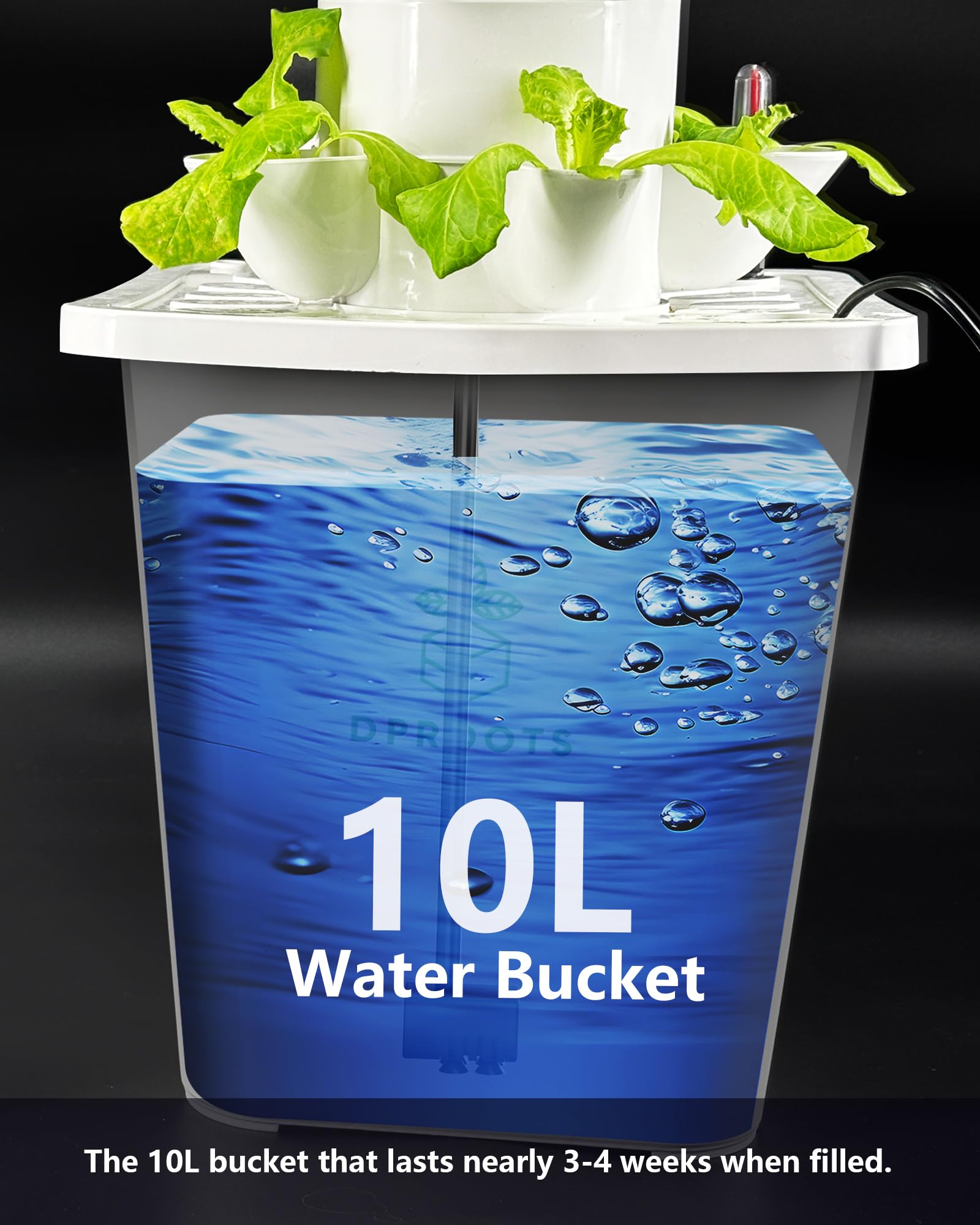 DPROOTS ideal for leafy greens and herbs in homes, offices, or studios.