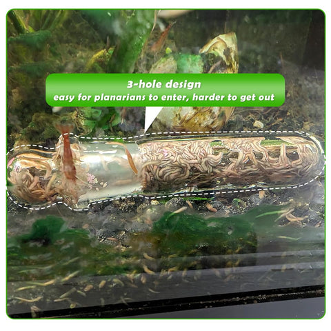 DQITJ Planaria Trap 3-hole design guiding entry and capturing pests