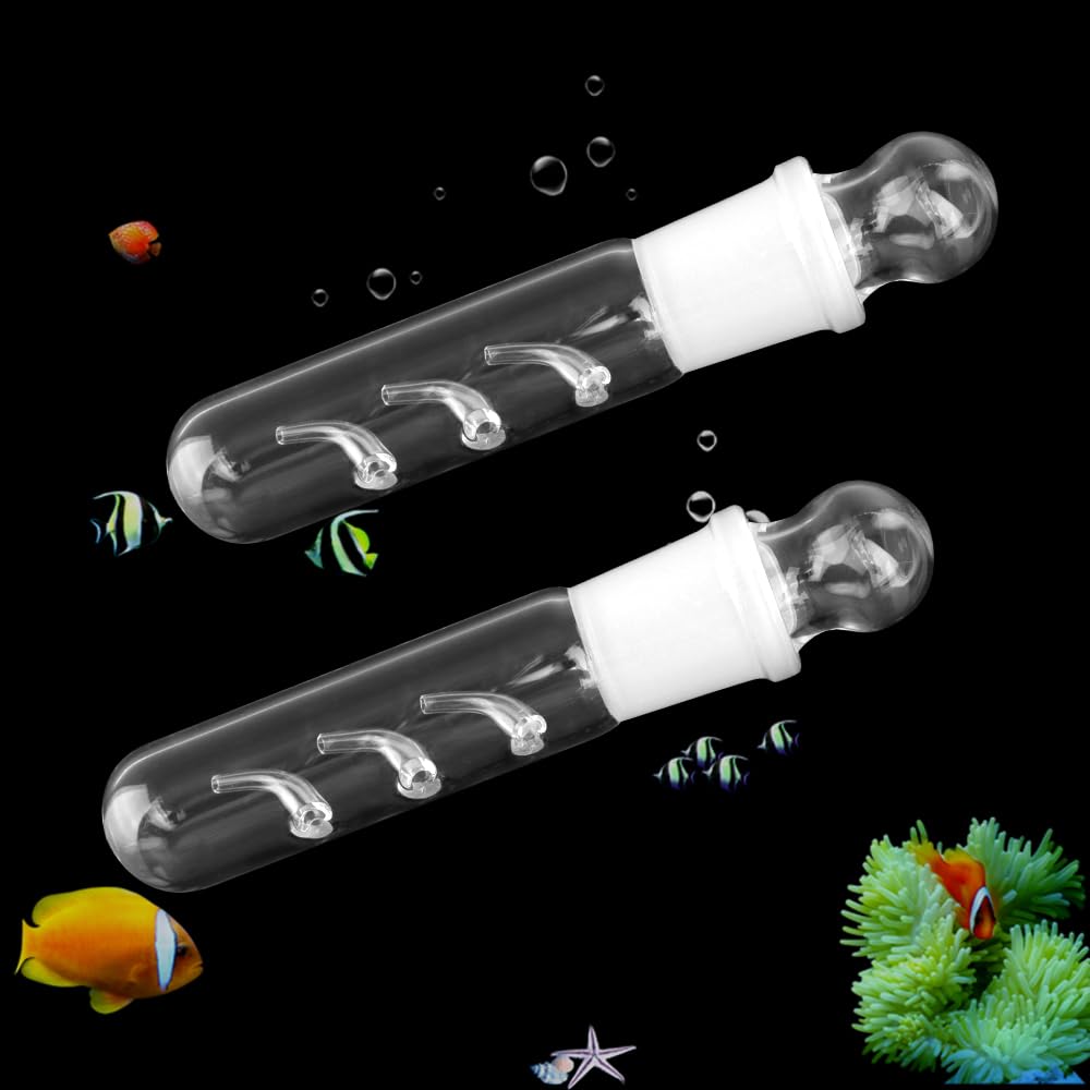 DQITJ Planaria Trap 3-holes glass front view for targeted capture