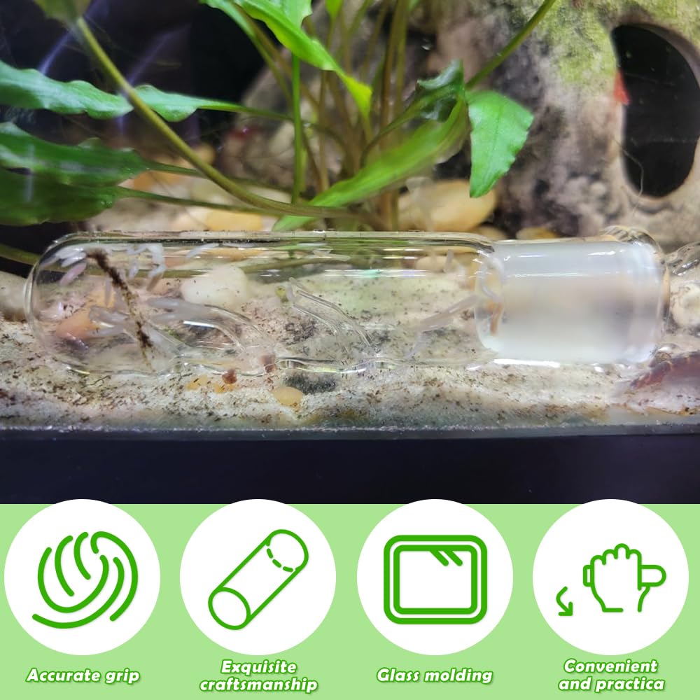 DQITJ Planaria Trap bait-bulb top view showing attractant placement