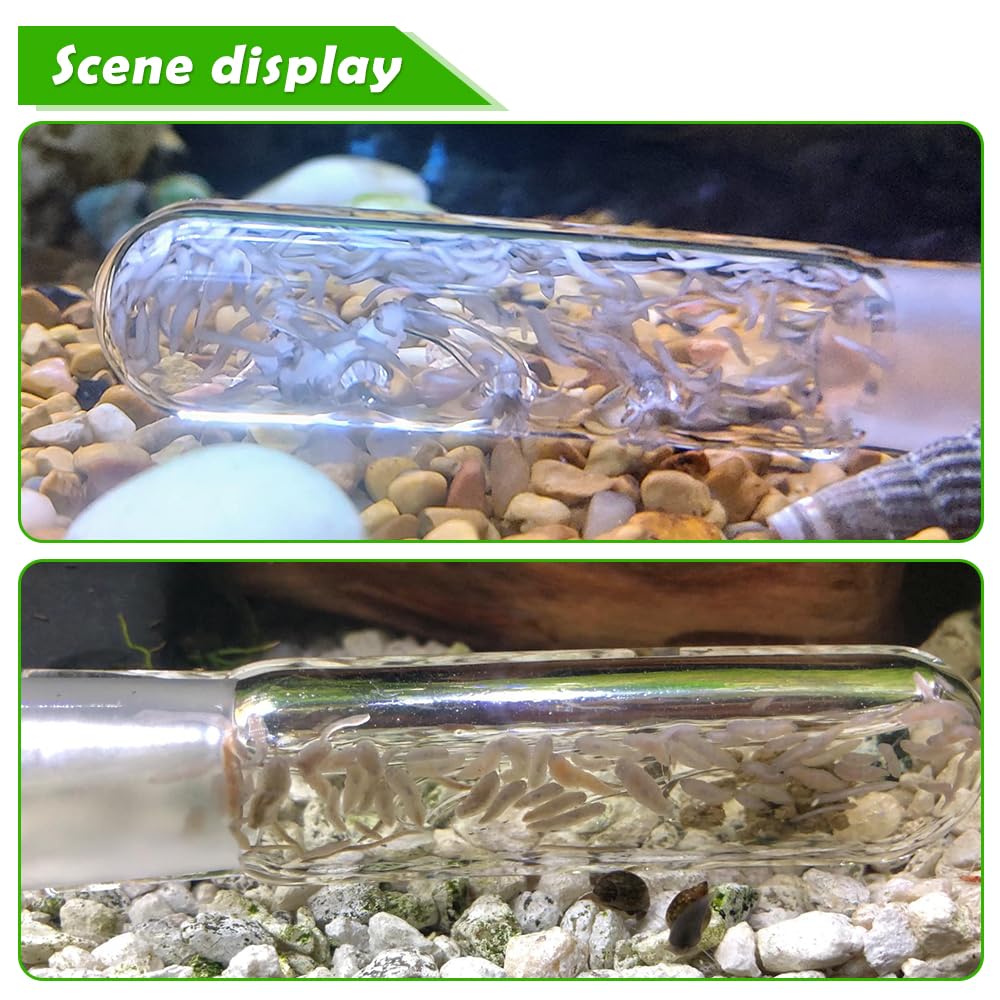 DQITJ Planaria Trap crystal glass close-up highlighting durability