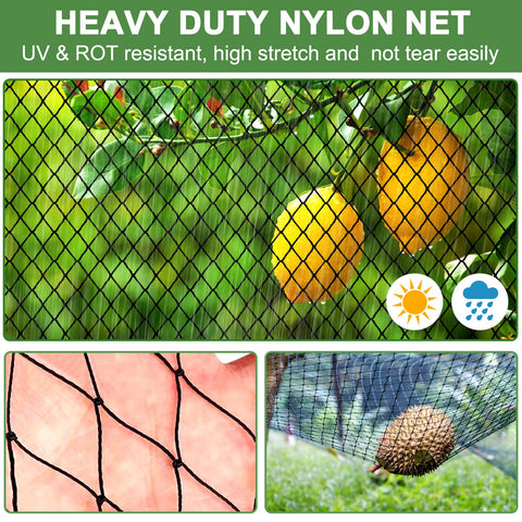 DQS Bird Net 50x50 barrier safeguards poultry and garden areas from pests