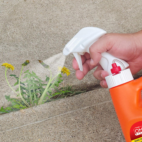 Dr Earth Final Stop garden application supports weed management in yards and beds.