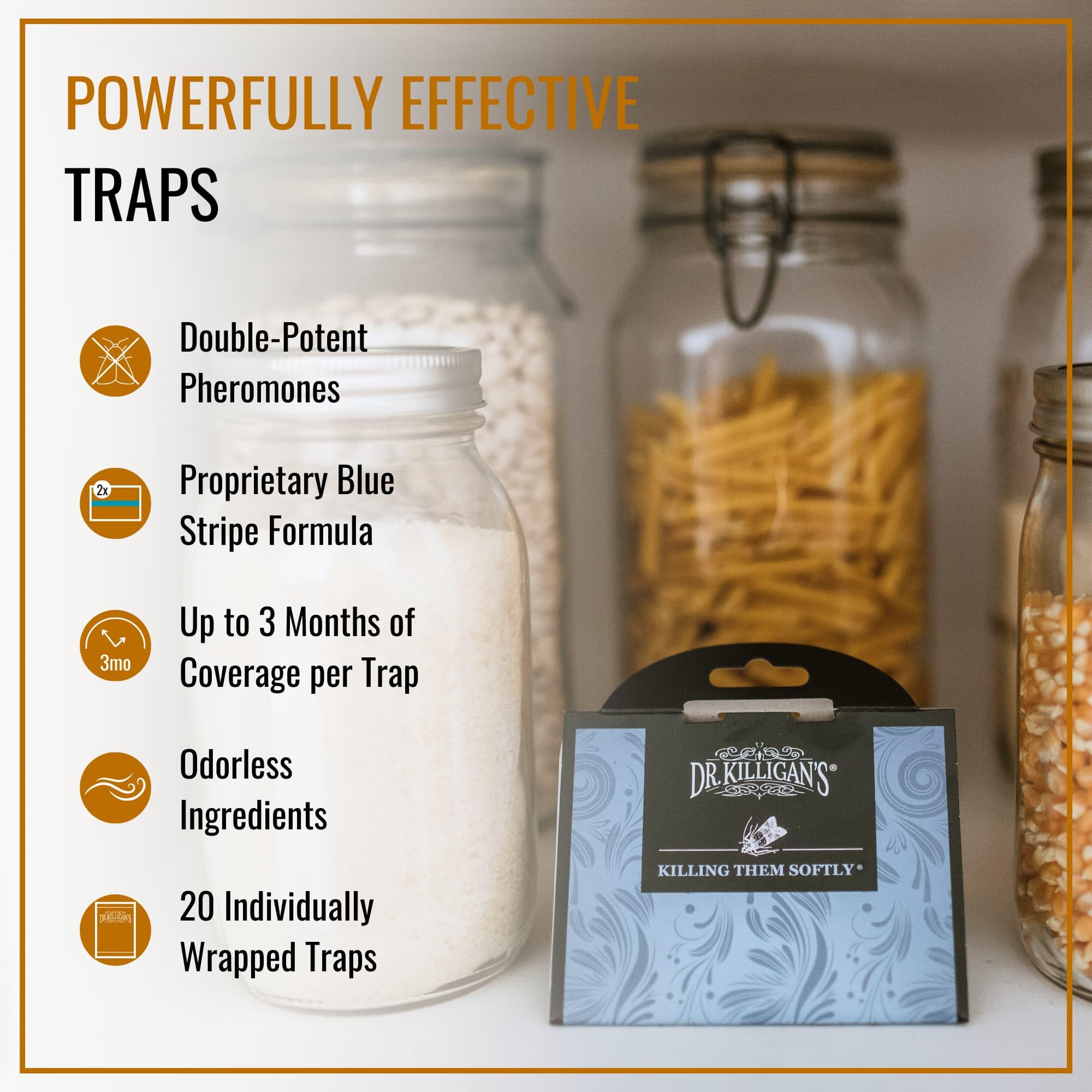Dr. Killigan's blue stripe formula pheromone trap closeup for moth control