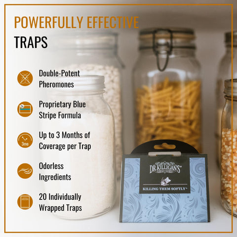 Dr. Killigan's blue stripe formula pheromone trap closeup for moth control