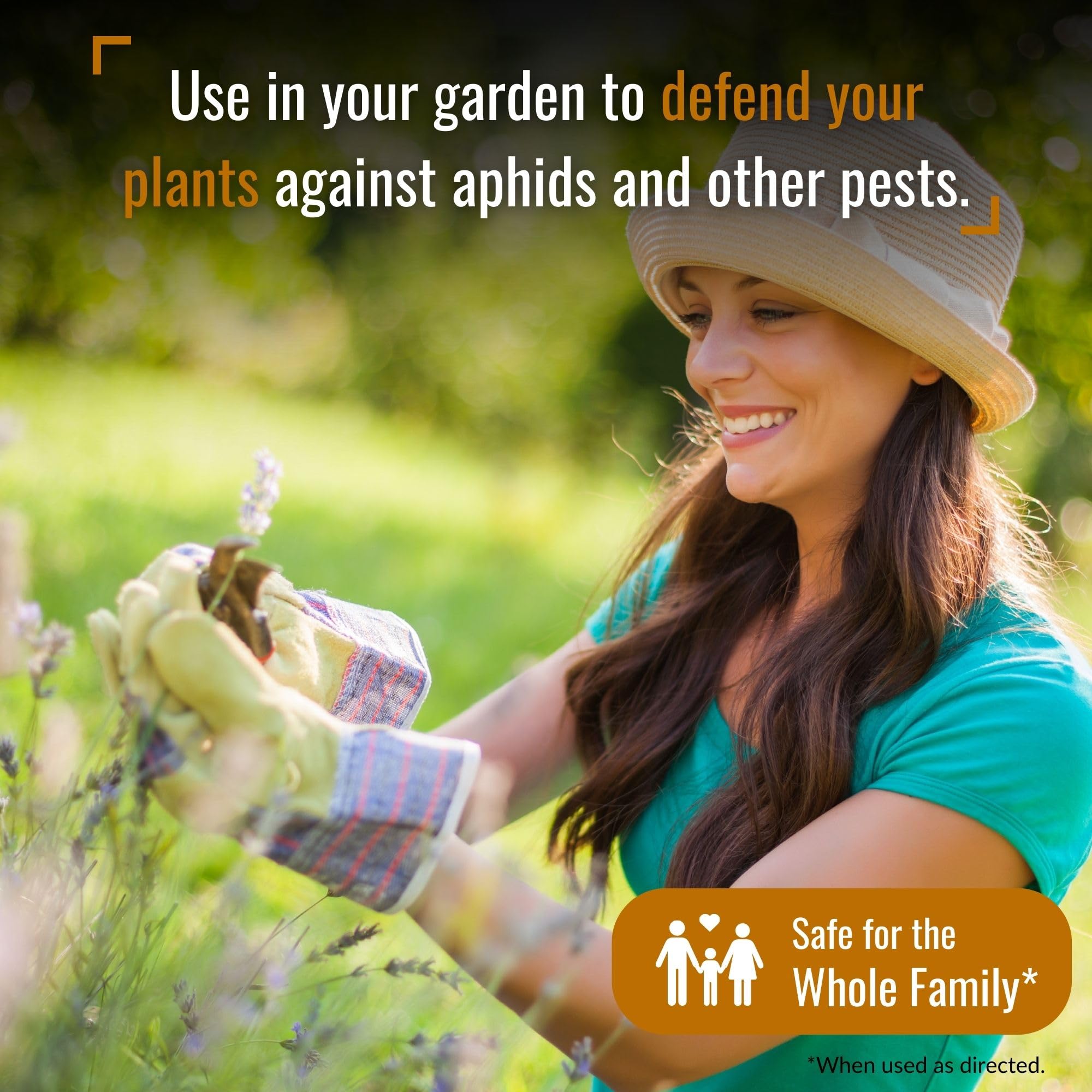 Dr. Killigan's Dust to Dust Powder indoors for residual pest protection.