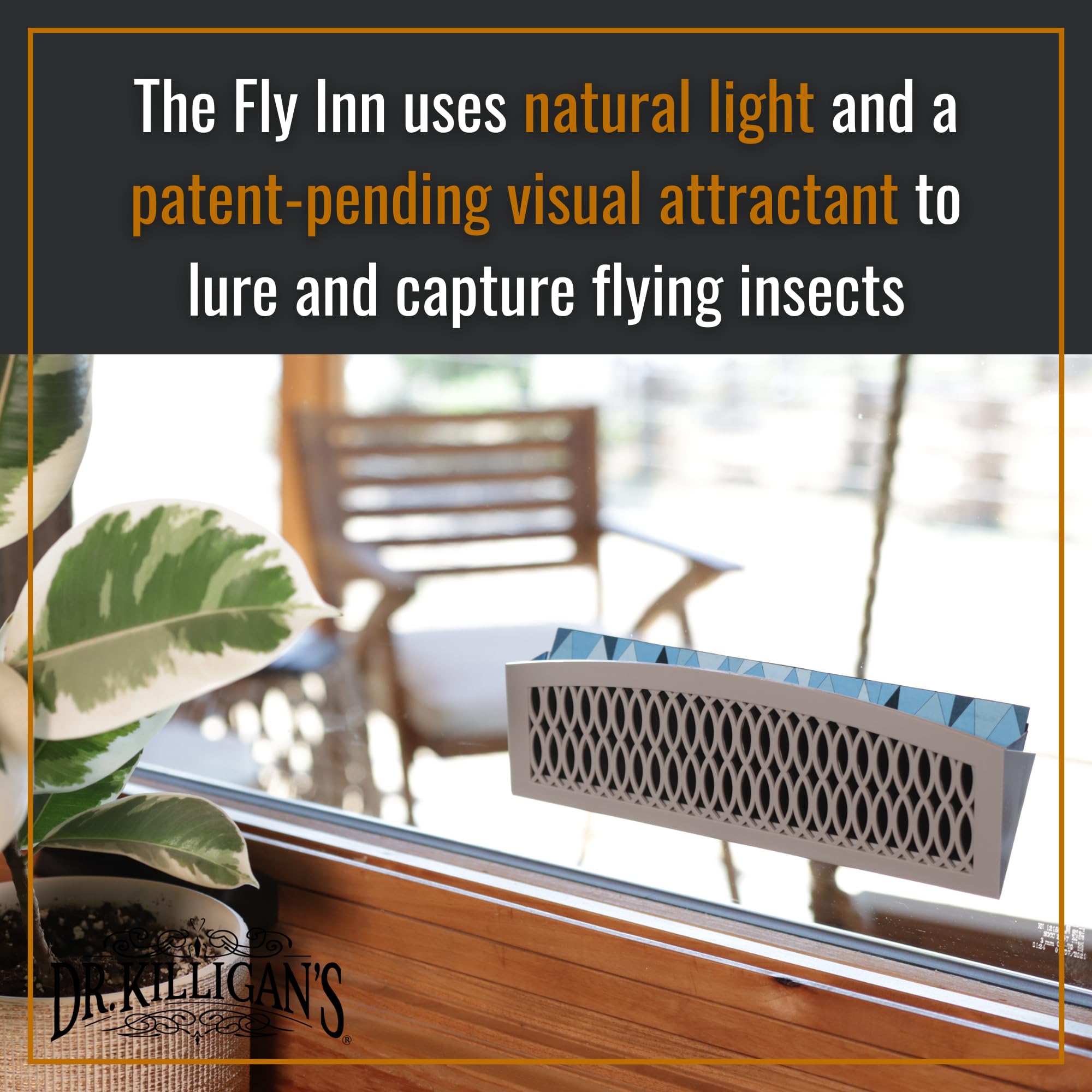 Dr. Killigan's Fly Inn replacement inserts blend with décor while controlling flying pests.