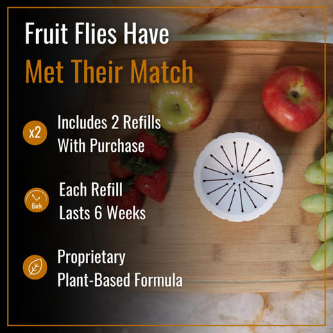 Dr. Killigan's fruit fly lure bottles deliver potent attractant for fast capture.