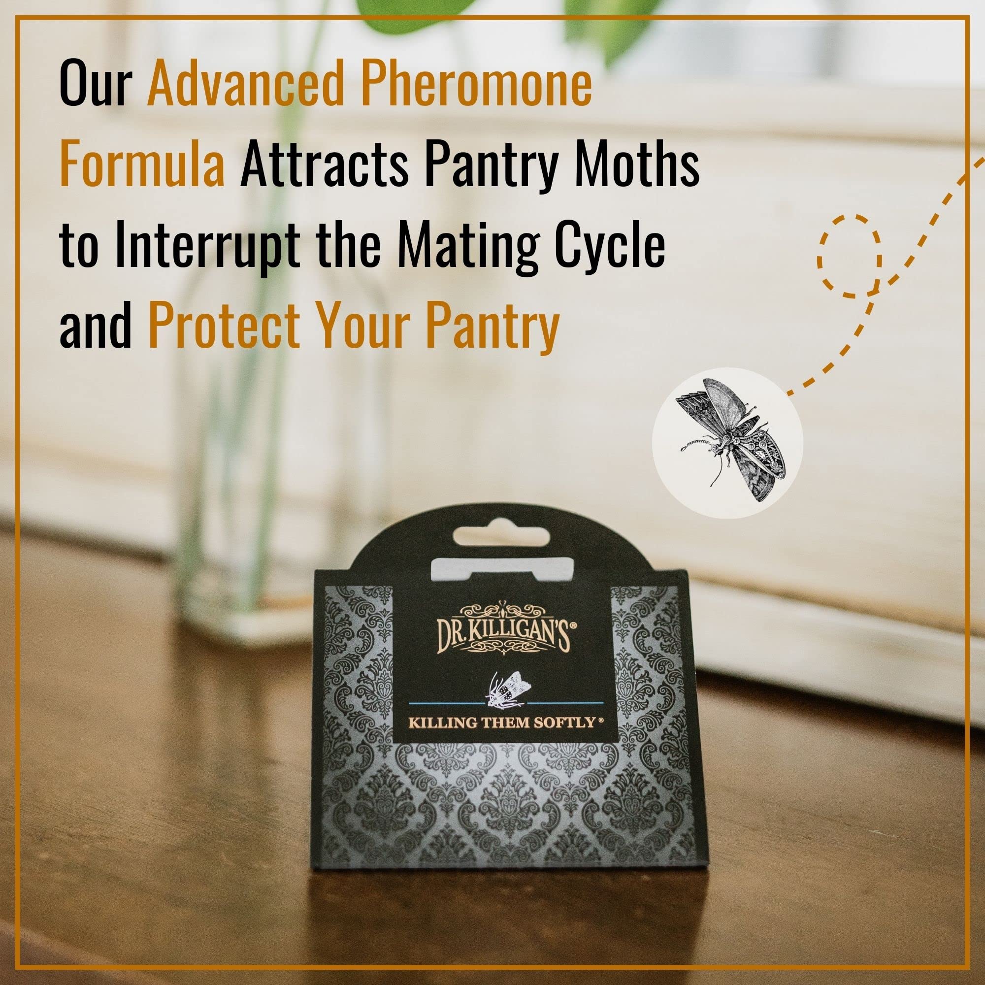 Dr. Killigan's Pantry Moth Traps for kitchen use in dry goods areas.