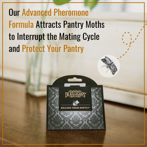 Dr. Killigan's pantry traps placed on pantry shelves protecting food storage.