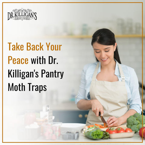 Six-month lifespan highlighted for Dr. Killigan's pantry traps.