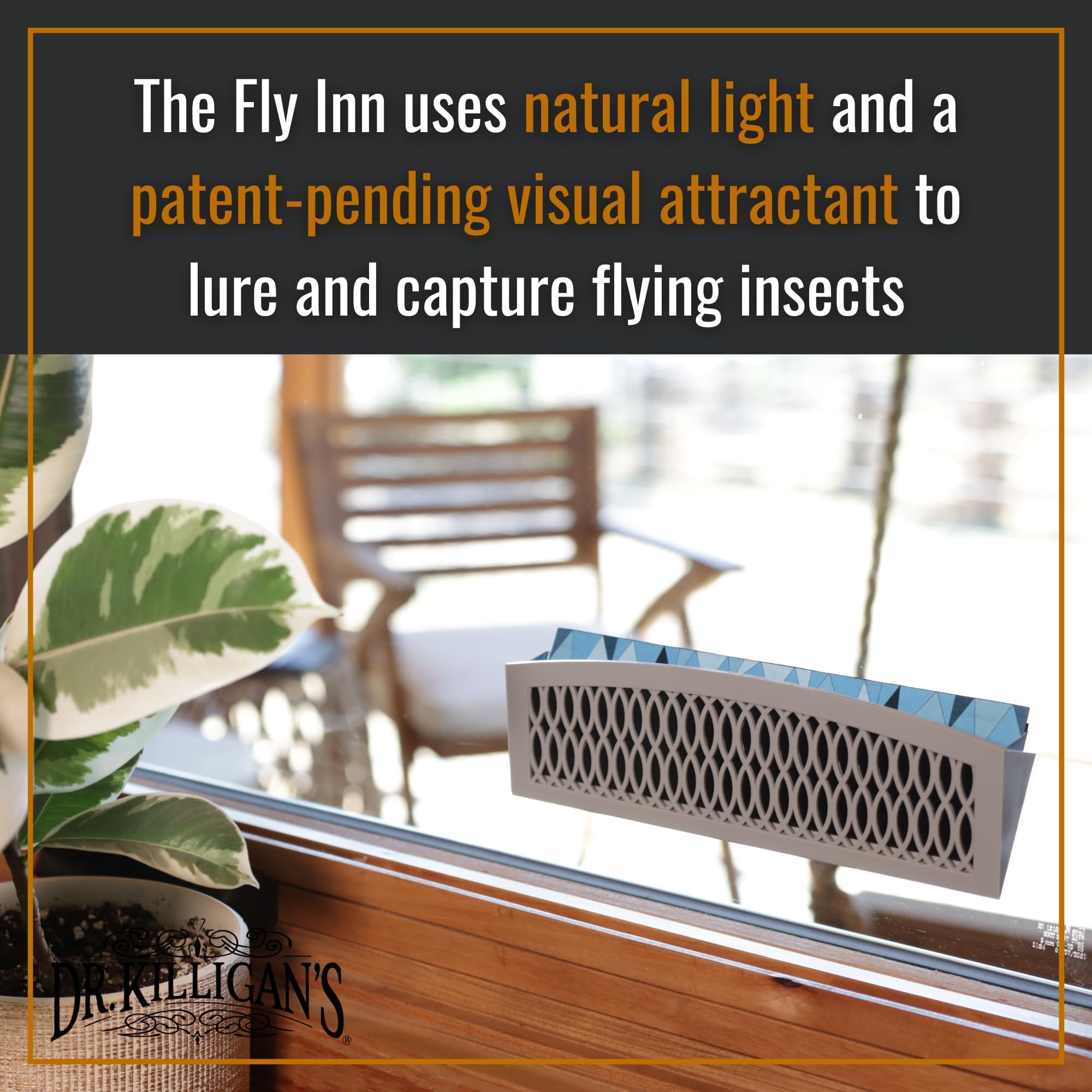 Lab-proven attractant insert inside The Fly Inn enhances insect capture near bright windows.