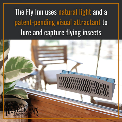 Lab-proven attractant insert inside The Fly Inn enhances insect capture near bright windows.