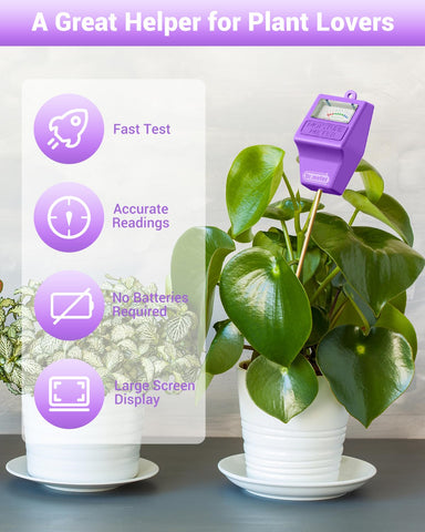 Dr.meter color-scale display guides watering with clear moisture levels.