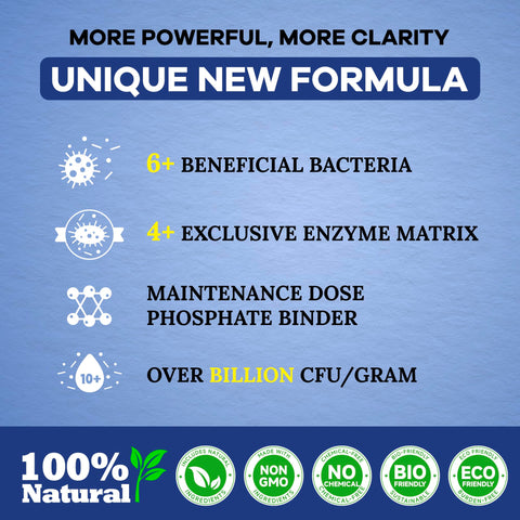 Beneficial bacteria and enzymes at work to improve water quality.