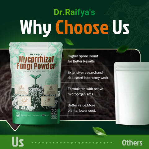 Hydroponic setup showing Dr. Raifya's product integrated into root care.