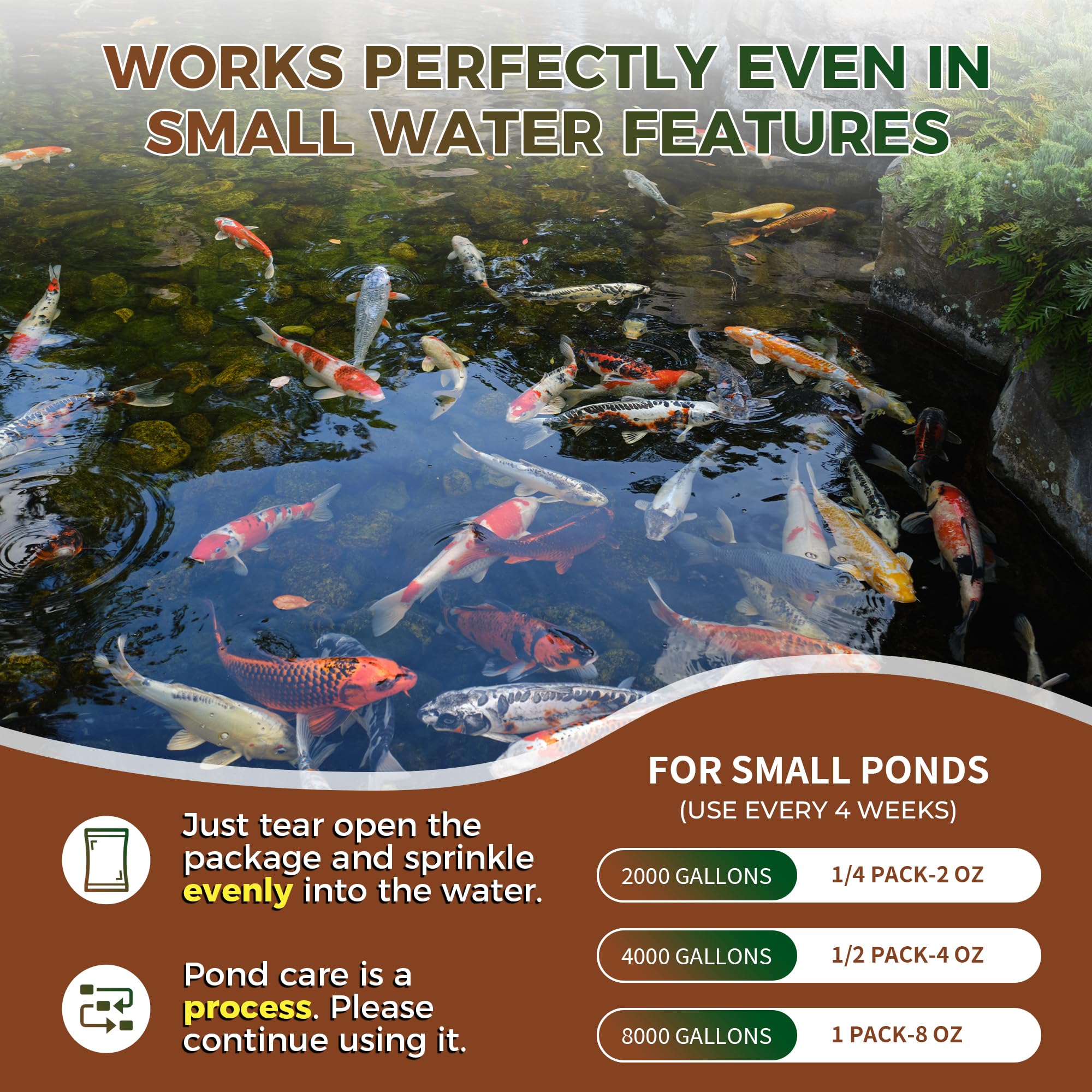 Dr.Raifya's Muck Reducer promotes healthier pond water over months.