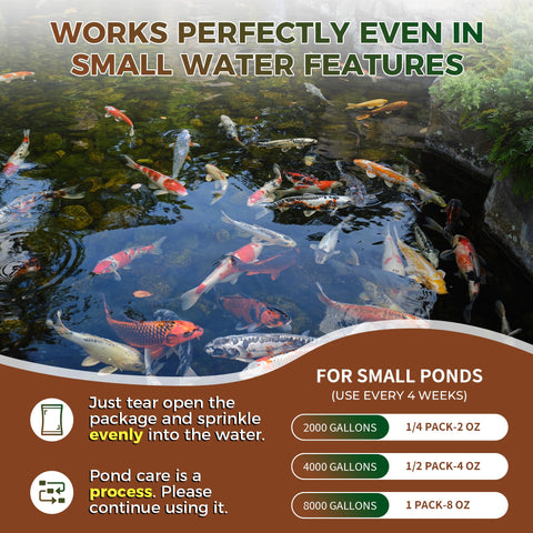 Dr.Raifya's Muck Reducer promotes healthier pond water over months.